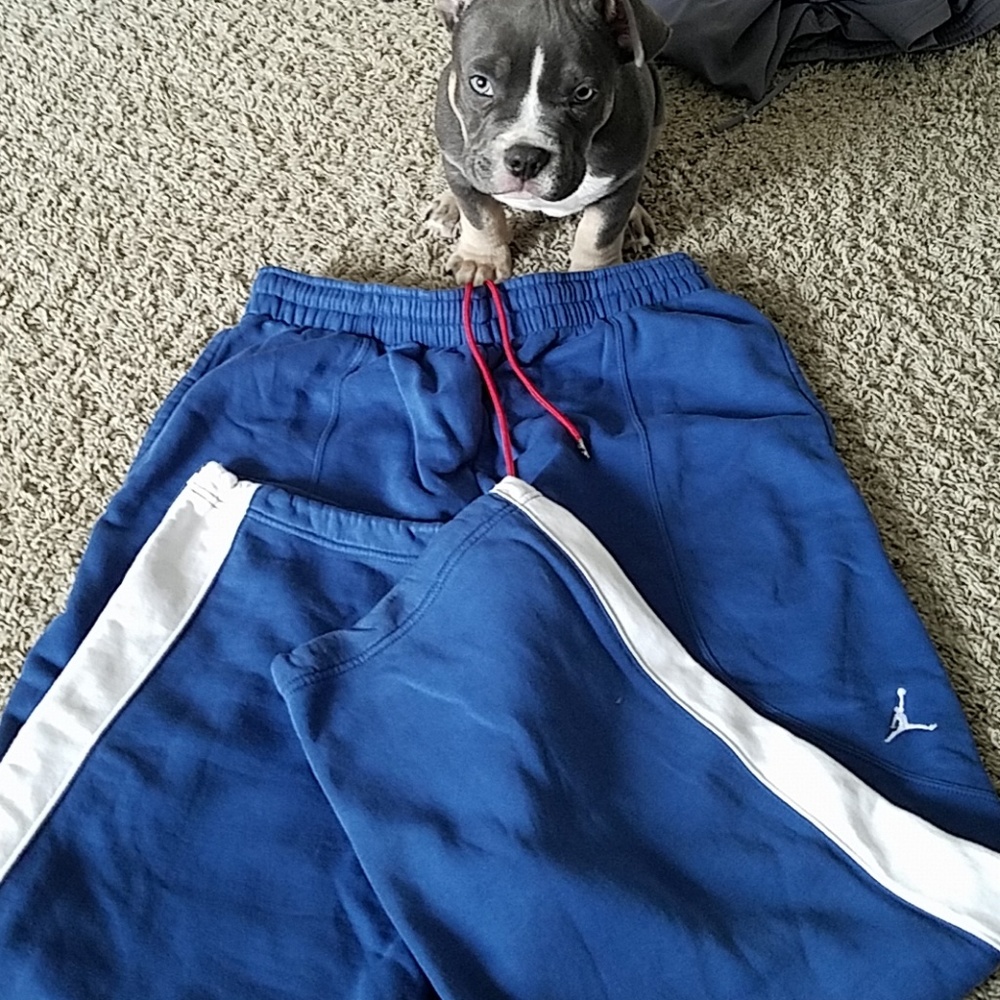 Jordan xxl pants